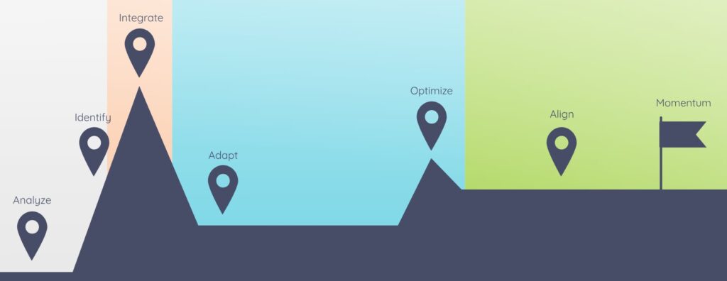 Operational roadmap for scaling visual representation